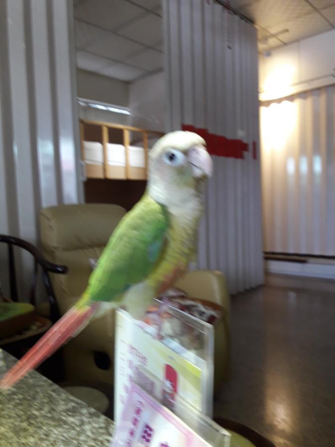 Jiji Art Backpackers Hostel מראה חיצוני תמונה